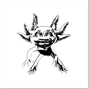 Axolotl Posters and Art